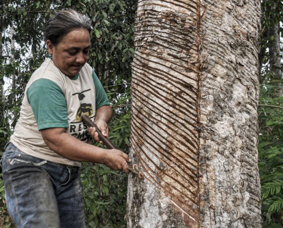 Jornal Varadouro, do Acre, retorna na era digital para se manter como  veículo alternativo na Amazônia - Infoia