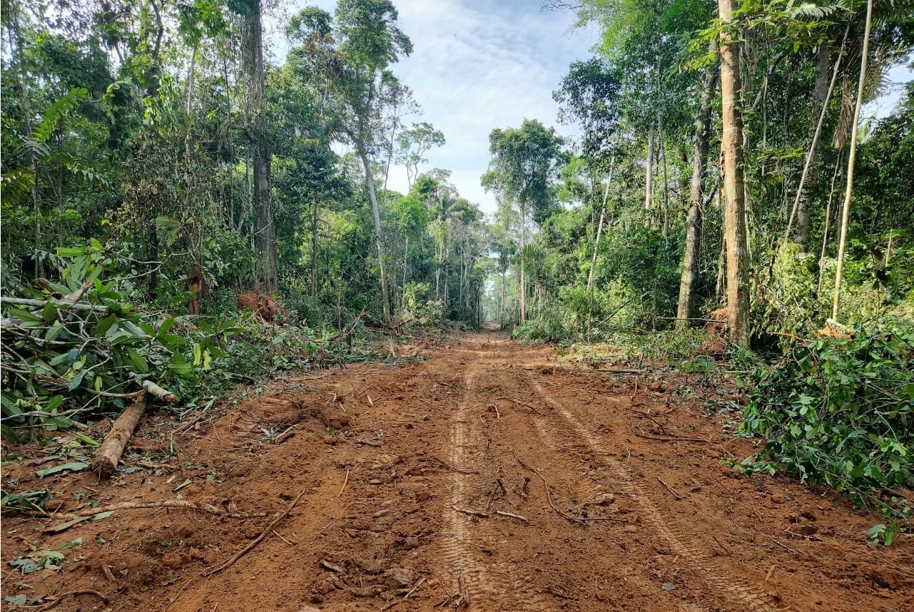 Jornal Varadouro, do Acre, retorna na era digital para se manter como  veículo alternativo na Amazônia - Infoia