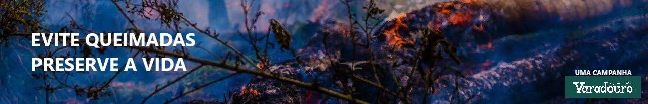 banner-728x90-anuncie