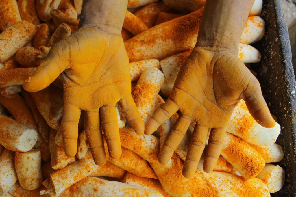 A CASA QUE NOS ACOLHE E NOS MOLDA 4 image 15