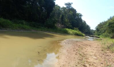 Rio Cainã, na calha do rio Purus durante seca de 2023, principal via de acesso às aldeias da Terra Indígena Jarawara Jamamadi Kanamati. Foto: Edmilson Alonso Apurinã/ Cimi