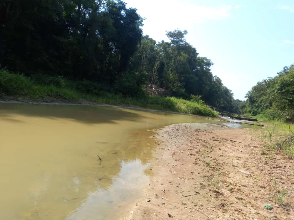 Rio Cainã, na calha do rio Purus durante seca de 2023, principal via de acesso às aldeias da Terra Indígena Jarawara Jamamadi Kanamati. Foto: Edmilson Alonso Apurinã/ Cimi